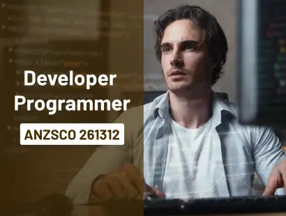 Developer Programmer