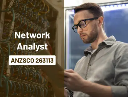 Network Analyst